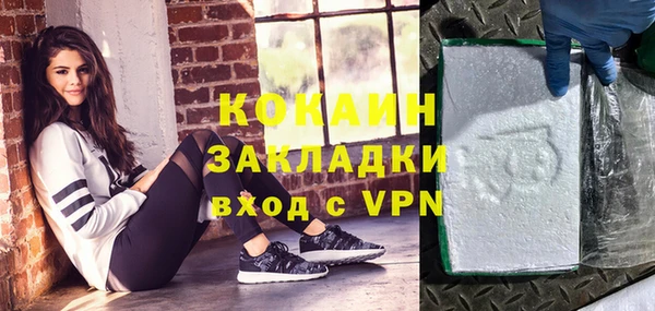 стаф Бородино